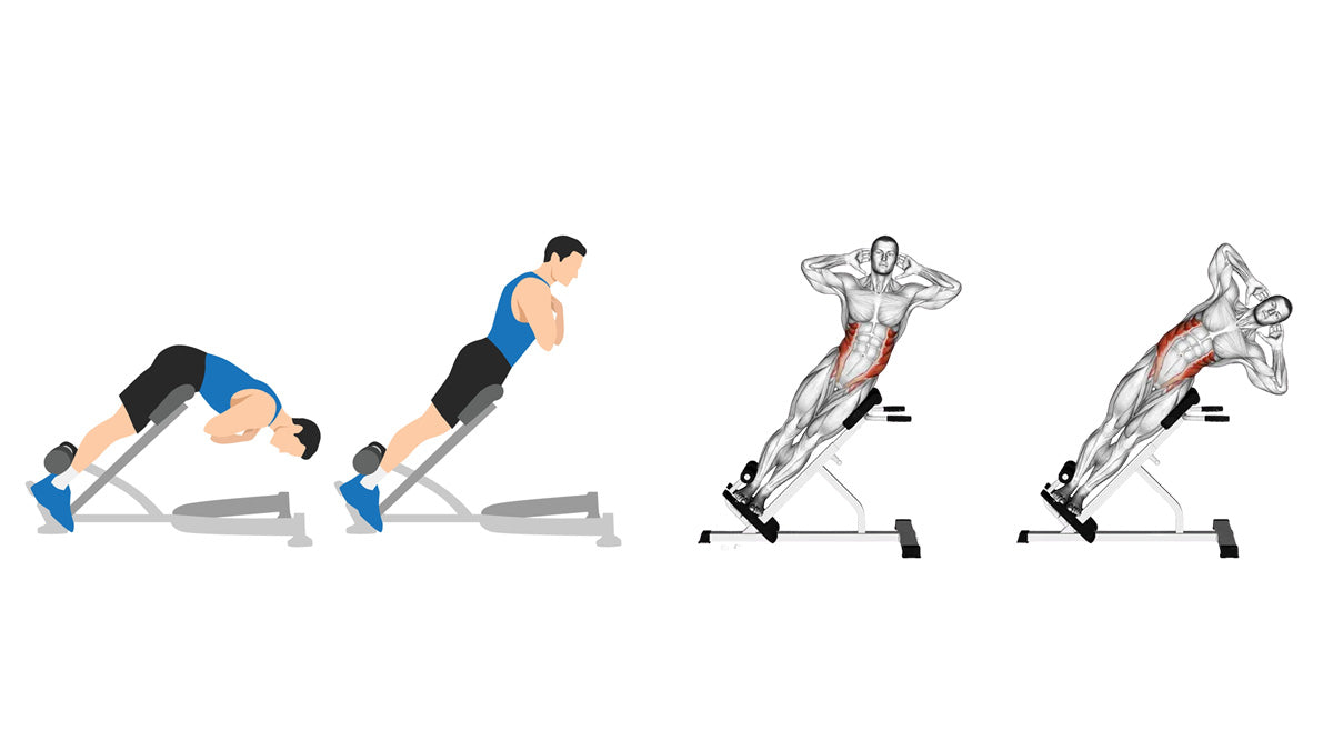Stronger Back, Less Pain: 3 Rehab-Approved Roman Chair Exercises – Fluid