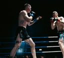 MMA Shorts
